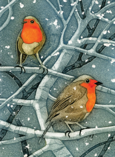 Wild Birds Pocket Notebook: Robin