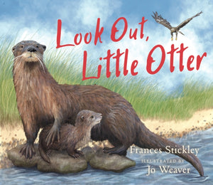 Look Out, Little Otter
