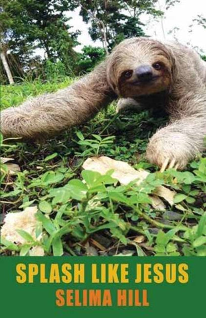 Book cover of: Splash Like Jesus. By: Selima Hill