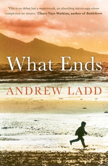 Book cover of: What Ends