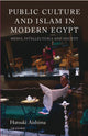 Book cover of: Public Culture and Islam in Modern Egypt. By: Hatsuki Aishima