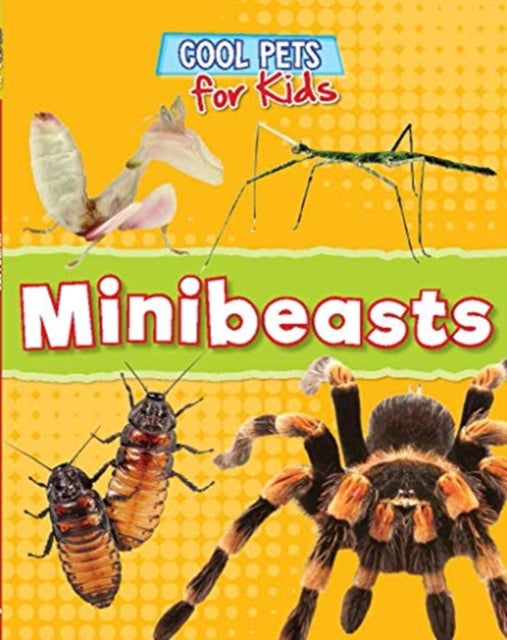Book cover of: MINIBEASTS. By: Dawn Titmus