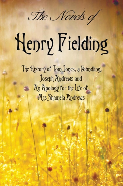 Book cover of: Novels of Henry Fielding including