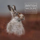 Book cover of: British Wildlife Photography Awards 8. By: Maggie Gowan