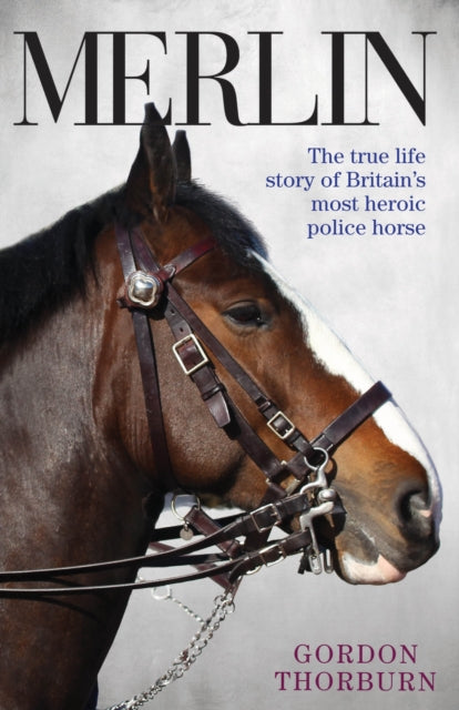 Book cover of: Merlin - The True Story of a Courageous Police Horse. By: Gordon Thorburn