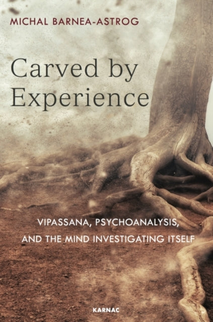 Book cover of: Carved by Experience. By: Michal Barnea-Astrog