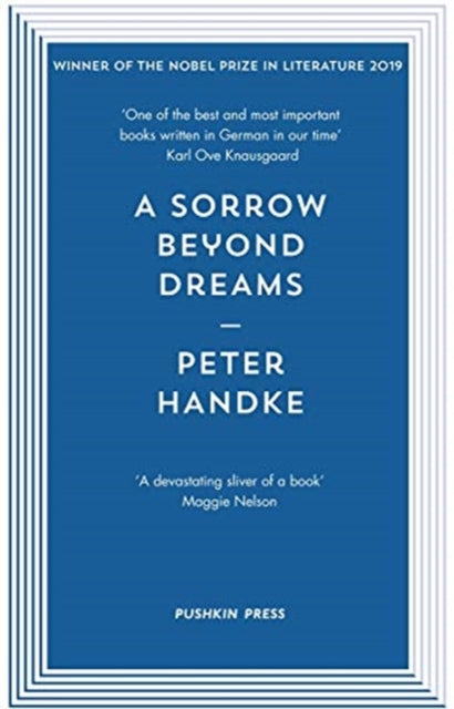 Book cover of: Sorrow Beyond Dreams