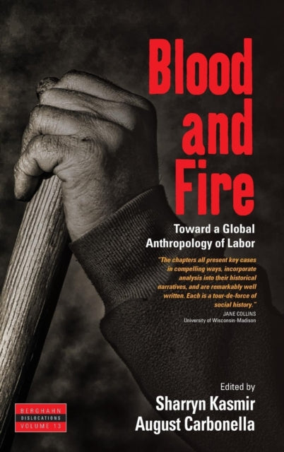 Book cover of: Blood and Fire. By: Sharryn Kasmir