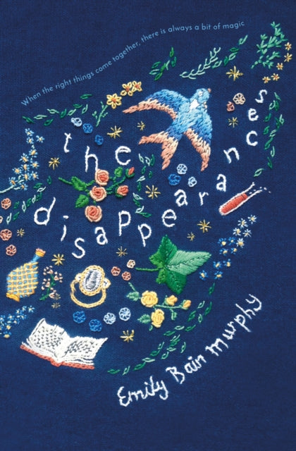 Book cover of: Disappearances. By: Emily Bain Murphy