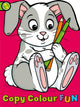 Book cover of: Copy Colour Fun: Rabbit
