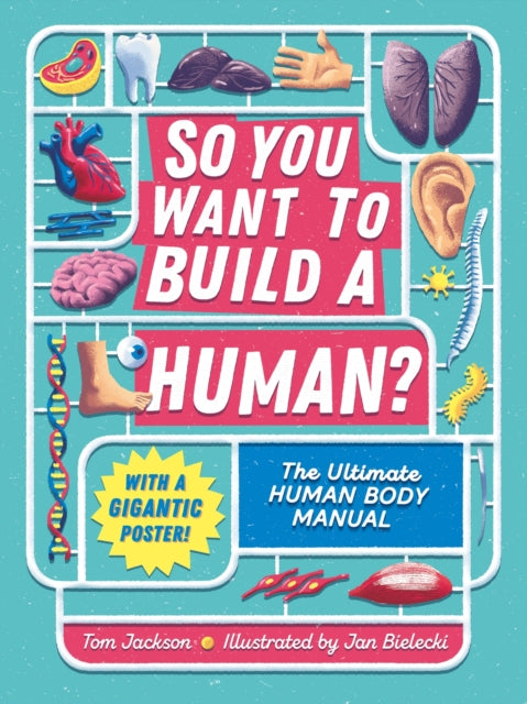 Book cover of: So You Want to Build a Human?. By: Tom Jackson