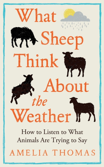 Book cover of: What Sheep Think About the Weather