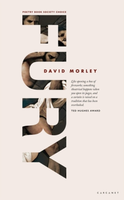 Book cover of: FURY. By: David MORLEY
