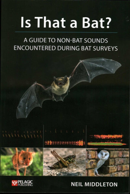 Book cover of: Is That a Bat?. By: Neil Middleton