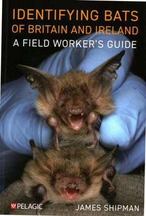 Identifying Bats of Britain and Ireland, A Field Worker’s Guide