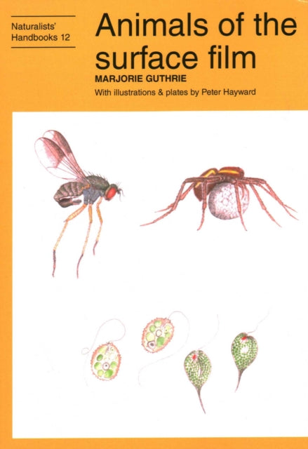 Book cover of: Animals of the surface film. By: Marjorie Guthrie