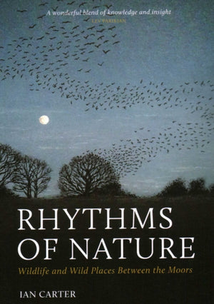 Rhythms of Nature