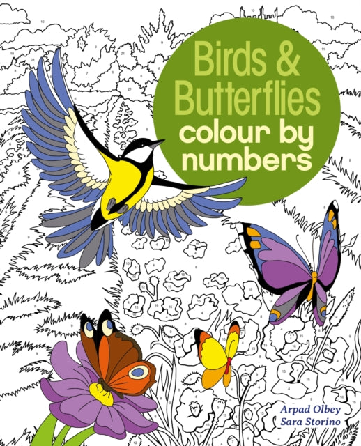 Book cover of: Birds & Butterflies Colour by Numbers