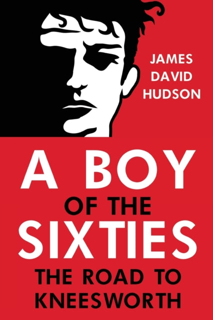 Book cover of: BOY OF THE SIXTIES