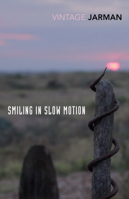 Smiling in Slow Motion, Journals, 1991–1994