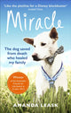 Book cover of: Miracle. By: Amanda Leask