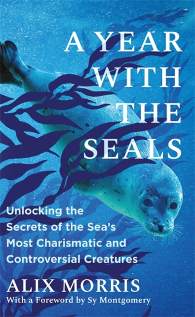 Book cover of: Year with the Seals