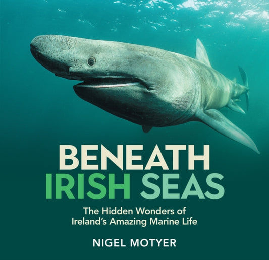 Book cover of: Beneath Irish Seas