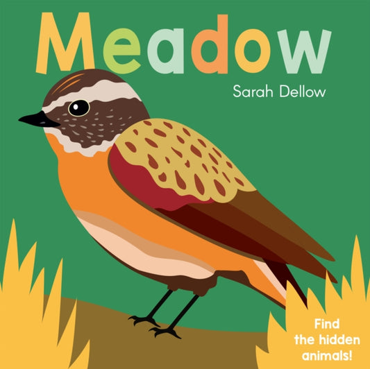 Book cover of: Now you See It! Meadow. By: Sarah Dellow