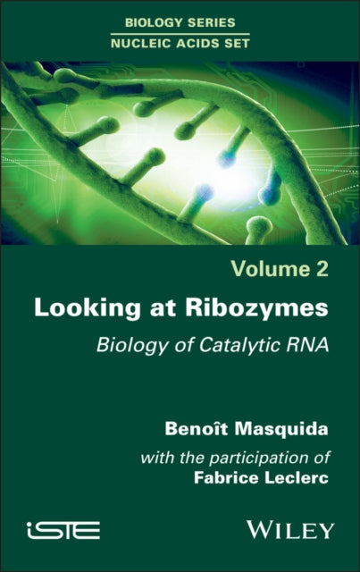 Book cover of: Looking at Ribozymes. By: Benoît Masquida