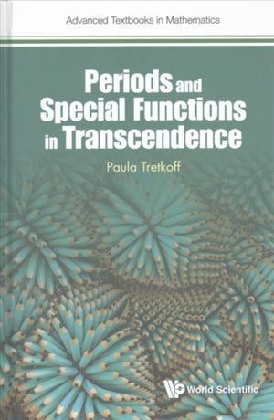 Periods And Special Functions In Transcendence