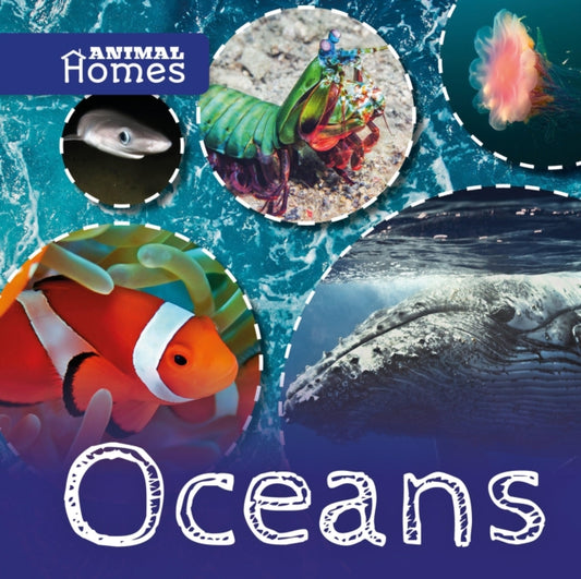 Book cover of: Oceans. By: Holly Duhig