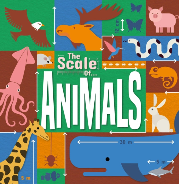 Book cover of: Animals. By: Joanna Brundle