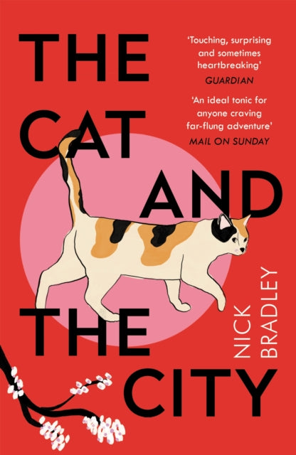 Cat and The City, 'Vibrant and accomplished' David Mitchell