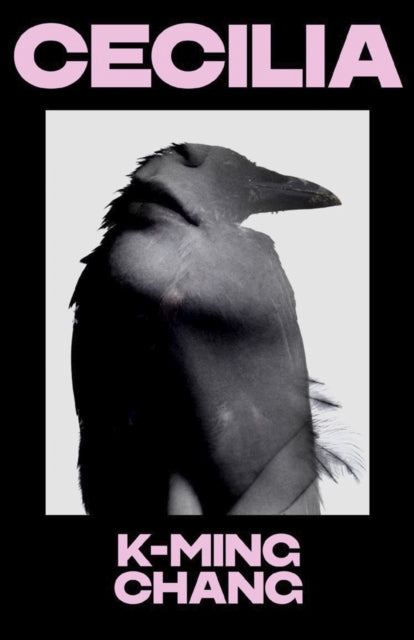 Book cover of: Cecilia