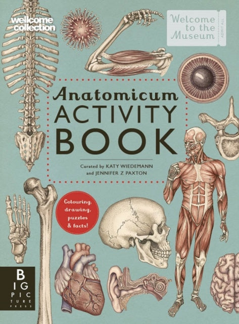 Book cover of: Anatomicum Activity Book