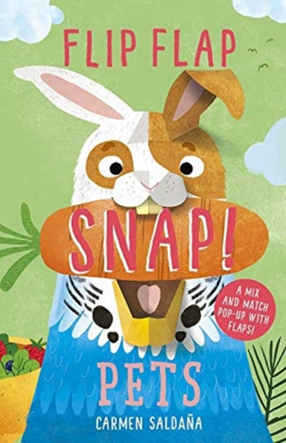 Book cover of: Flip Flap Snap: Pets