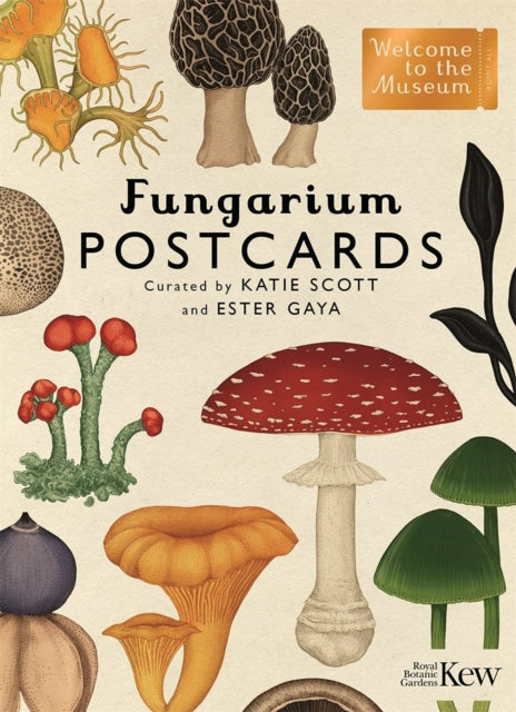 Book cover of: Fungarium Postcards