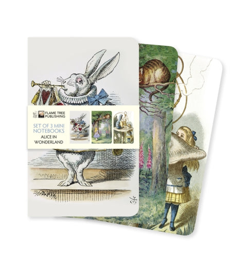 Alice's Adventures in Wonderland Set of 3 Mini Notebooks