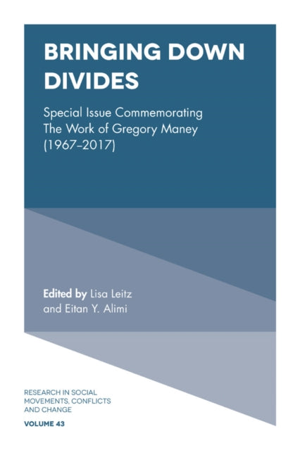 Book cover of: Bringing Down Divides. By: Lisa Leitz
