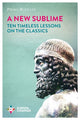 Book cover of: New Sublime