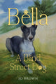 Book cover of: Bella, the journey of A Blind Street Dog