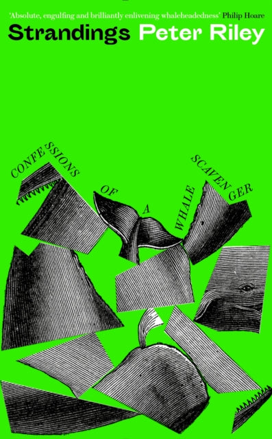Book cover of: Strandings. By: Peter Riley