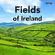 Book cover of: Fields of Ireland. By: Sarah O'Connor