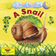 Book cover of: Snail. By: Ruth Owen