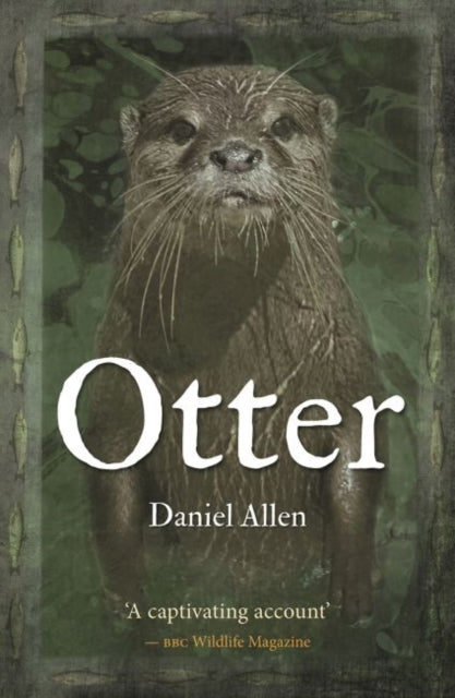 Book cover of: Otter. By: Daniel Allen