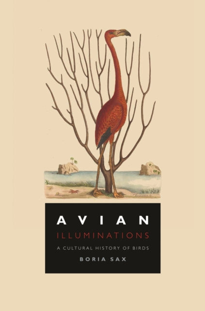 Book cover of: Avian Illuminations. By: Boria Sax
