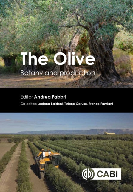 Book cover of: Olive. By: Andrea Fabbri