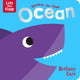 Book cover of: Sparkle-Go-Seek Ocean. By: Bethany Carr