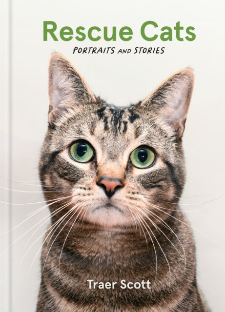 Book cover of: Rescue Cats. By: Traer Scott