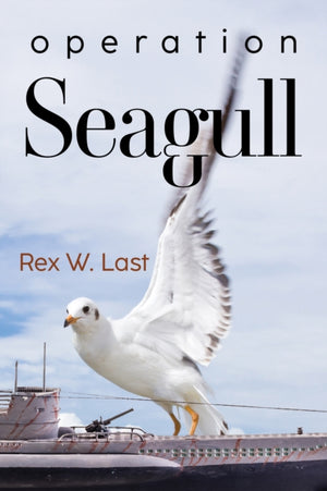 Operation Seagull